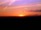 Wittenham Clumps (iv)